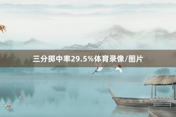 三分掷中率29.5%体育录像/图片