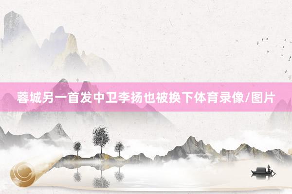 蓉城另一首发中卫李扬也被换下体育录像/图片