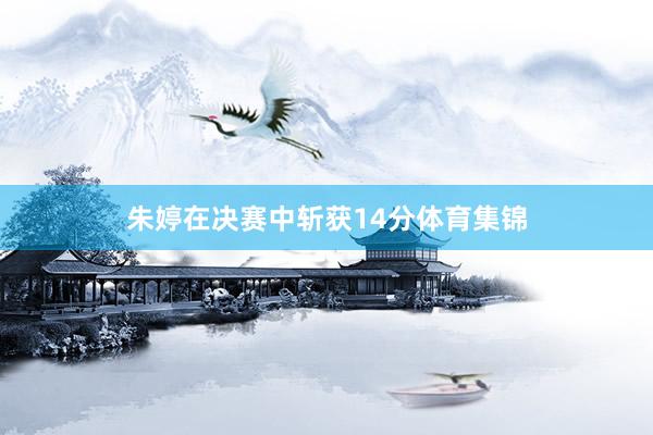 朱婷在决赛中斩获14分体育集锦