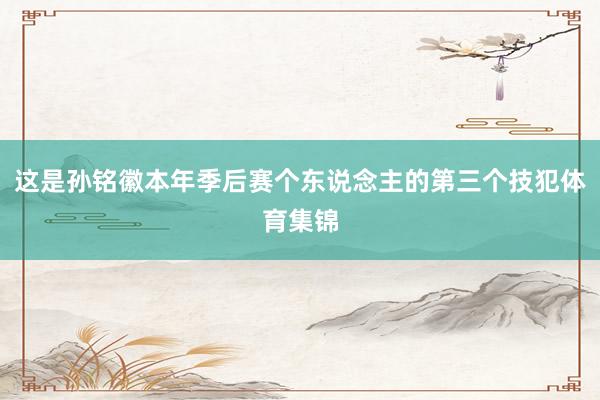 这是孙铭徽本年季后赛个东说念主的第三个技犯体育集锦