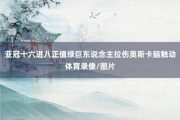 亚冠十六进八正值绿巨东说念主拉伤奥斯卡脑触动体育录像/图片