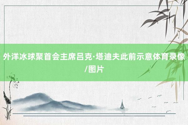 外洋冰球聚首会主席吕克·塔迪夫此前示意体育录像/图片