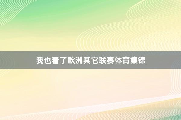 我也看了欧洲其它联赛体育集锦