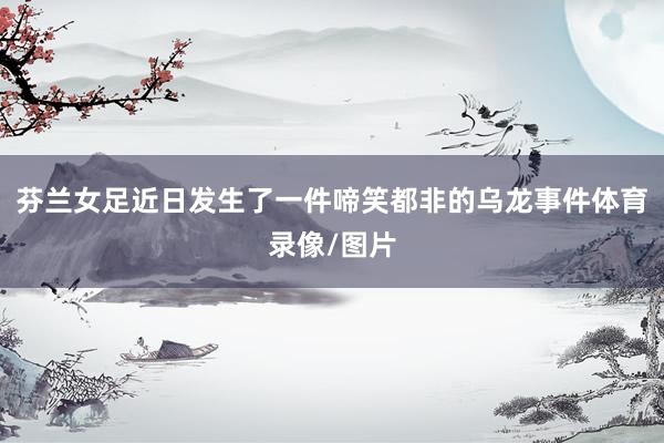 芬兰女足近日发生了一件啼笑都非的乌龙事件体育录像/图片