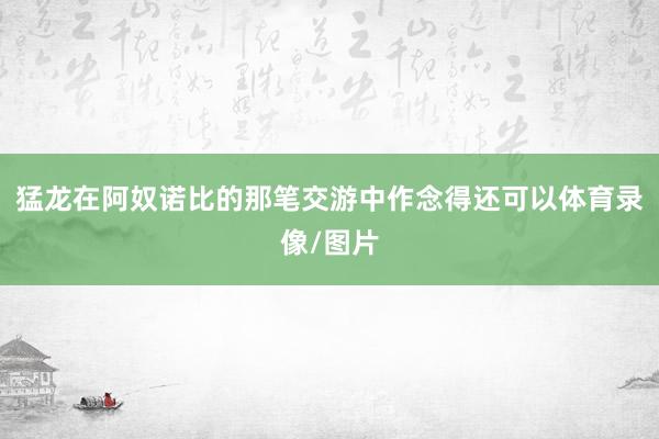猛龙在阿奴诺比的那笔交游中作念得还可以体育录像/图片