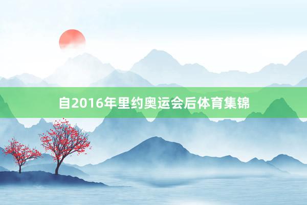 自2016年里约奥运会后体育集锦
