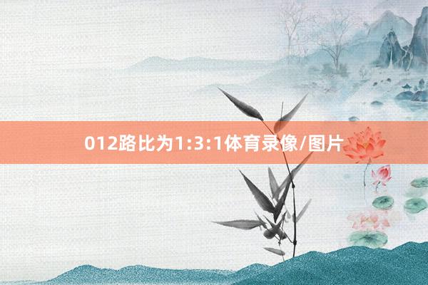 012路比为1:3:1体育录像/图片