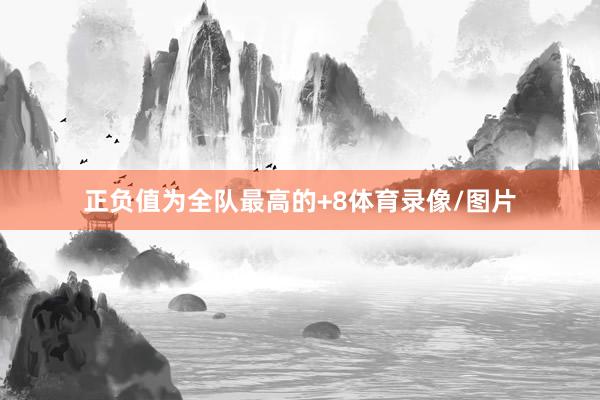 正负值为全队最高的+8体育录像/图片