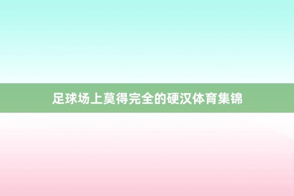足球场上莫得完全的硬汉体育集锦