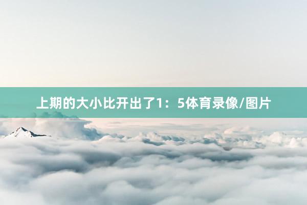 上期的大小比开出了1：5体育录像/图片
