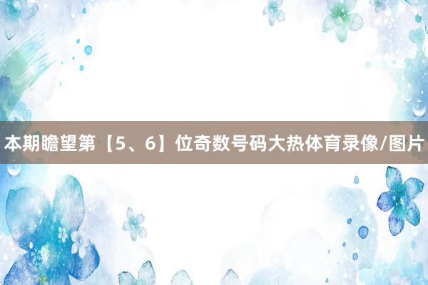本期瞻望第【5、6】位奇数号码大热体育录像/图片