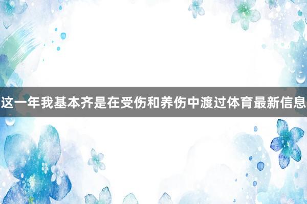 这一年我基本齐是在受伤和养伤中渡过体育最新信息