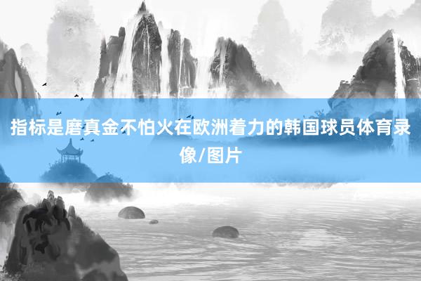 指标是磨真金不怕火在欧洲着力的韩国球员体育录像/图片