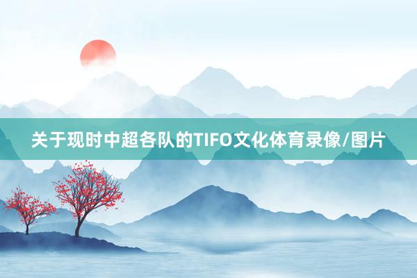 关于现时中超各队的TIFO文化体育录像/图片