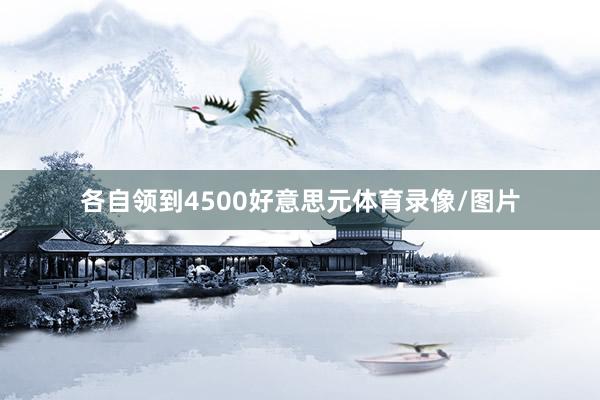 各自领到4500好意思元体育录像/图片