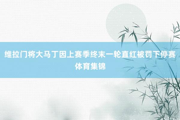 维拉门将大马丁因上赛季终末一轮直红被罚下停赛体育集锦