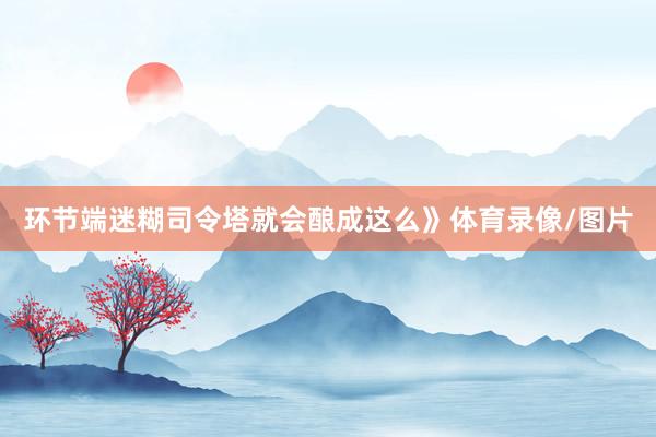环节端迷糊司令塔就会酿成这么》体育录像/图片