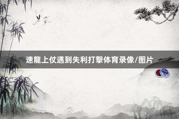 速龍上仗遇到失利打擊体育录像/图片