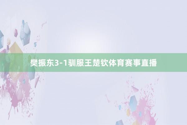 樊振东3-1驯服王楚钦体育赛事直播