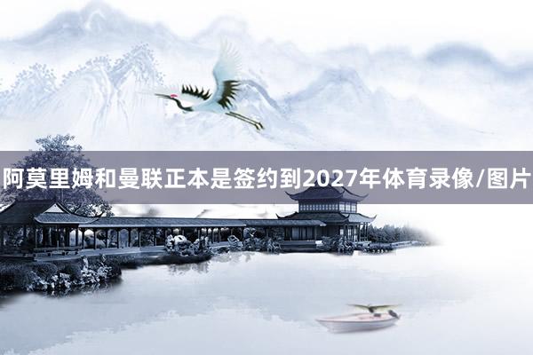 阿莫里姆和曼联正本是签约到2027年体育录像/图片