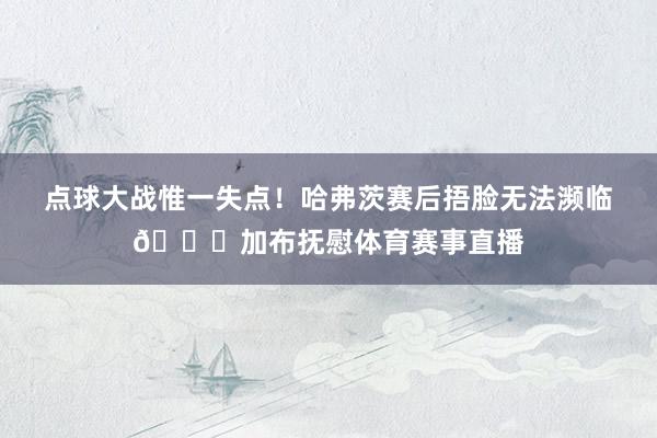 点球大战惟一失点！哈弗茨赛后捂脸无法濒临💔加布抚慰体育赛事直播