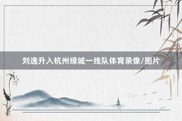 刘逸升入杭州绿城一线队体育录像/图片