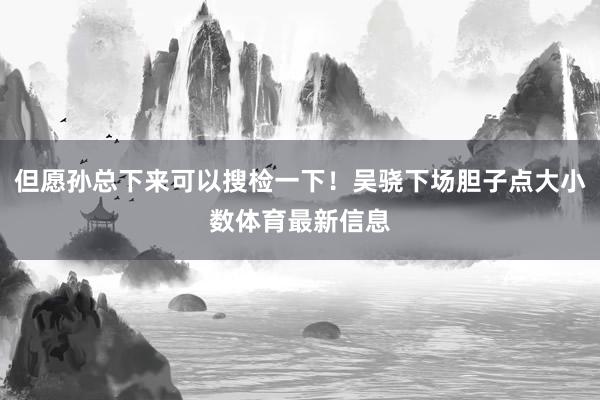 但愿孙总下来可以搜检一下！吴骁下场胆子点大小数体育最新信息