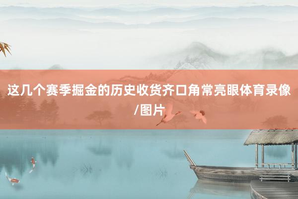 这几个赛季掘金的历史收货齐口角常亮眼体育录像/图片