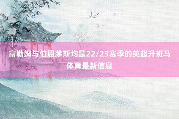 富勒姆与伯恩茅斯均是22/23赛季的英超升班马体育最新信息