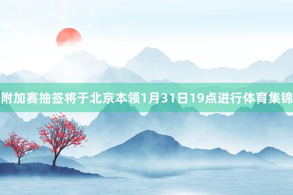 附加赛抽签将于北京本领1月31日19点进行体育集锦