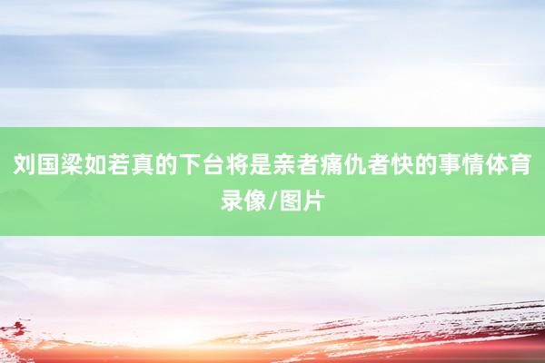 刘国梁如若真的下台将是亲者痛仇者快的事情体育录像/图片