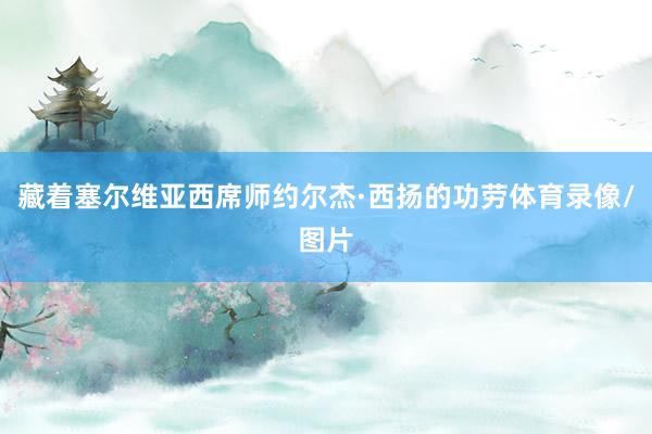 藏着塞尔维亚西席师约尔杰·西扬的功劳体育录像/图片