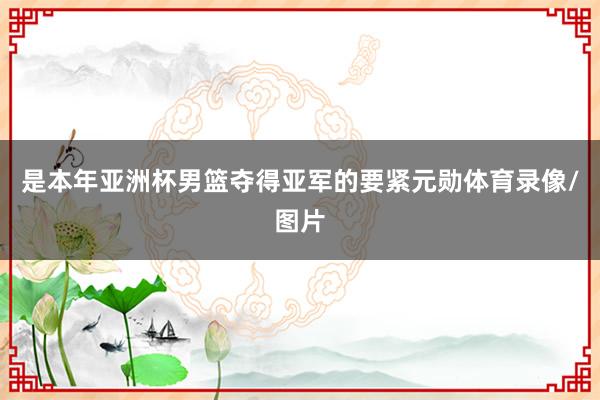 是本年亚洲杯男篮夺得亚军的要紧元勋体育录像/图片