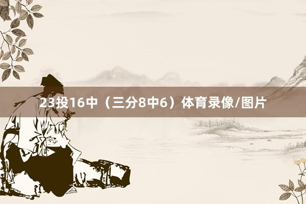 23投16中（三分8中6）体育录像/图片